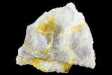 Wulfenite Crystals on Matrix - Mexico #67698-1